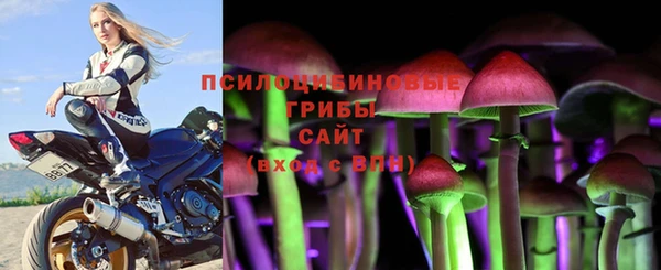 меф Ельня