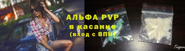 мдпв Туринск
