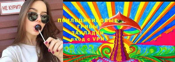 мдпв Туринск