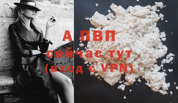 ПСИЛОЦИБИНОВЫЕ ГРИБЫ Елизово