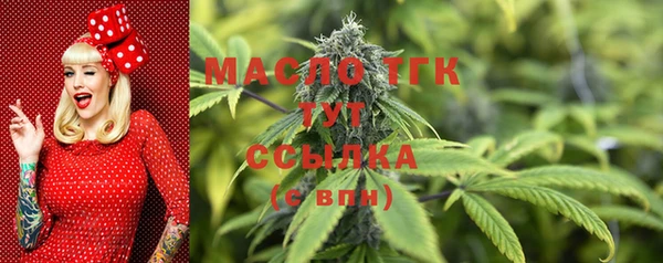 ГАЛЛЮЦИНОГЕННЫЕ ГРИБЫ Елабуга