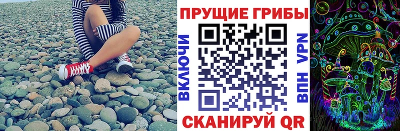 Галлюциногенные грибы Psilocybine cubensis дарнет шоп Мглин